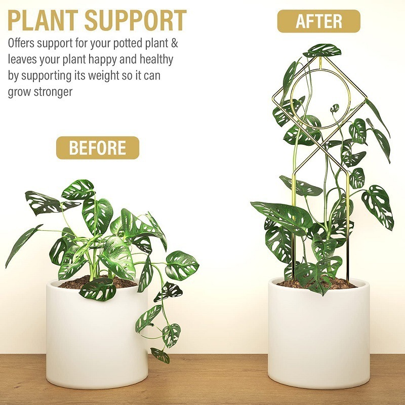 Hàng chéo, nhà leo núi văn hóa horti, nông nghiệp horticic horticic horticic hortract, quần chúng nông nghiệp, Amazonia.