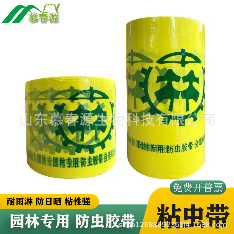 Insect pest control, single-sided adhesive tape and garden trees, two-sided yellow-coloured booby-trapped fruit trees