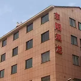 Hongyang City Twin Dragon Motor Supplies Ltd.