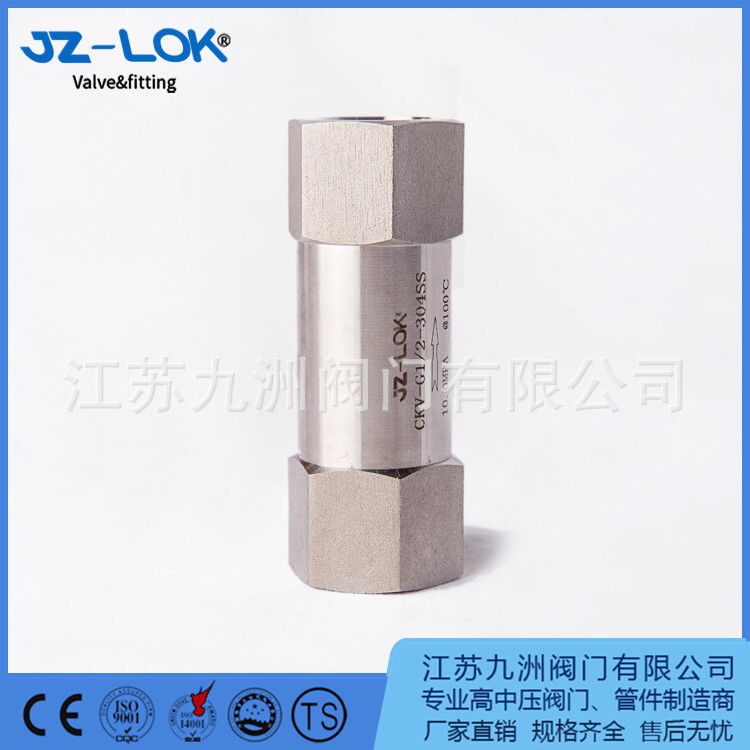 One-way valve, stainless steel high-pressure valve. H11X threaded valve. One-way valve.