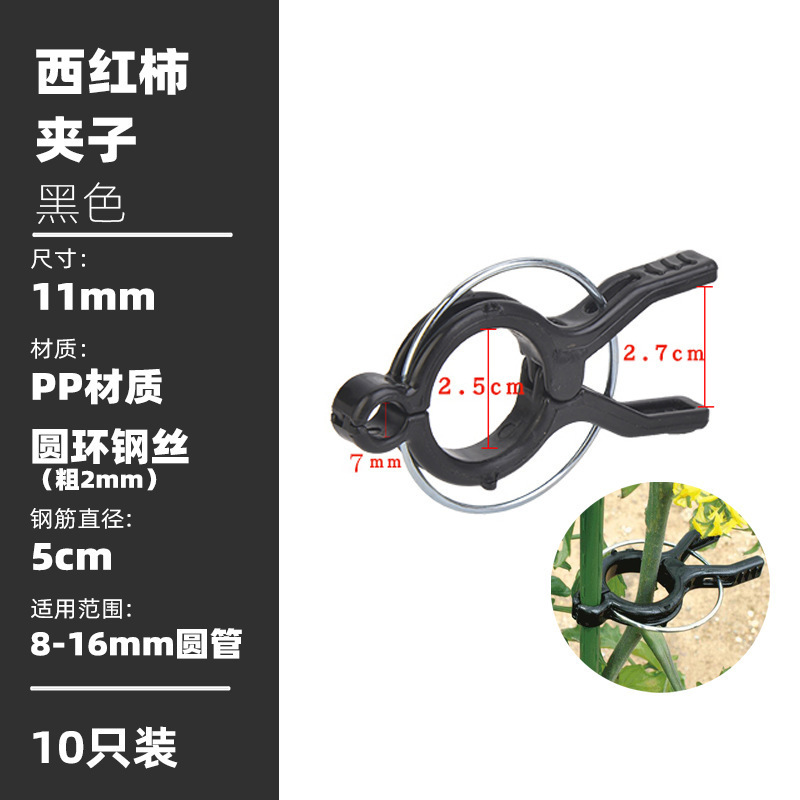 Cái kẹp của người làm vườn và cà chua và cây nho và cái bệ của sâu bọ hỗ trợ cho trái cây.