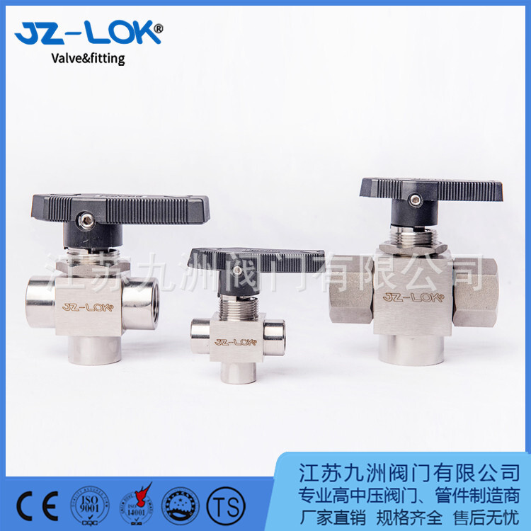 The stainless steel high-pressure valve.