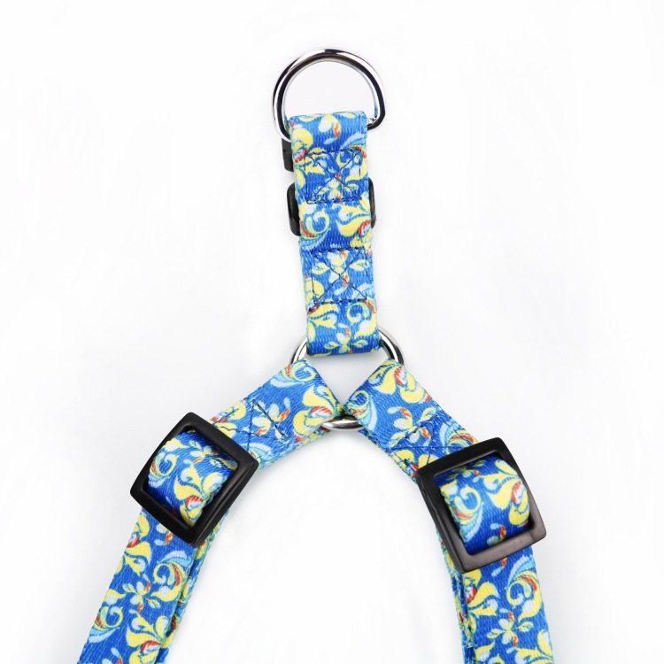 Customize dog pets' plaster belts to decorate their plasters.