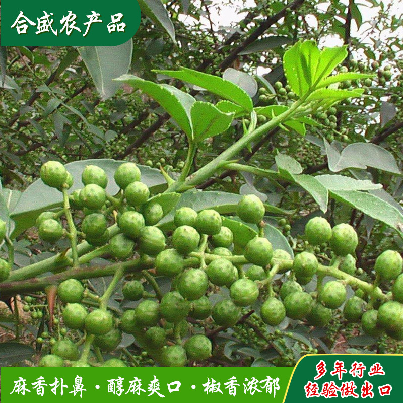 Đó là một loại ớt xanh mới.