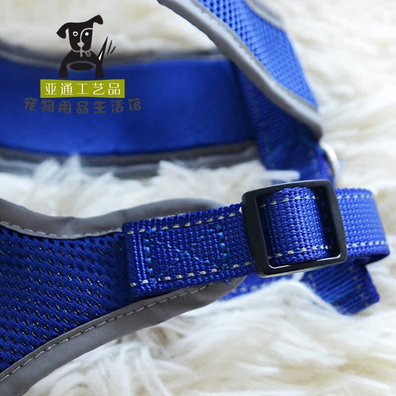 Một con thú nuôi được bán trực tiếp, một cái thắt lưng có mắt phản xạ, một cái thắt lưng, một con thú nuôi cung cấp hàng hóa.