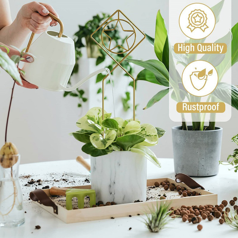 Hàng chéo, nhà leo núi văn hóa horti, nông nghiệp horticic horticic horticic hortract, quần chúng nông nghiệp, Amazonia.