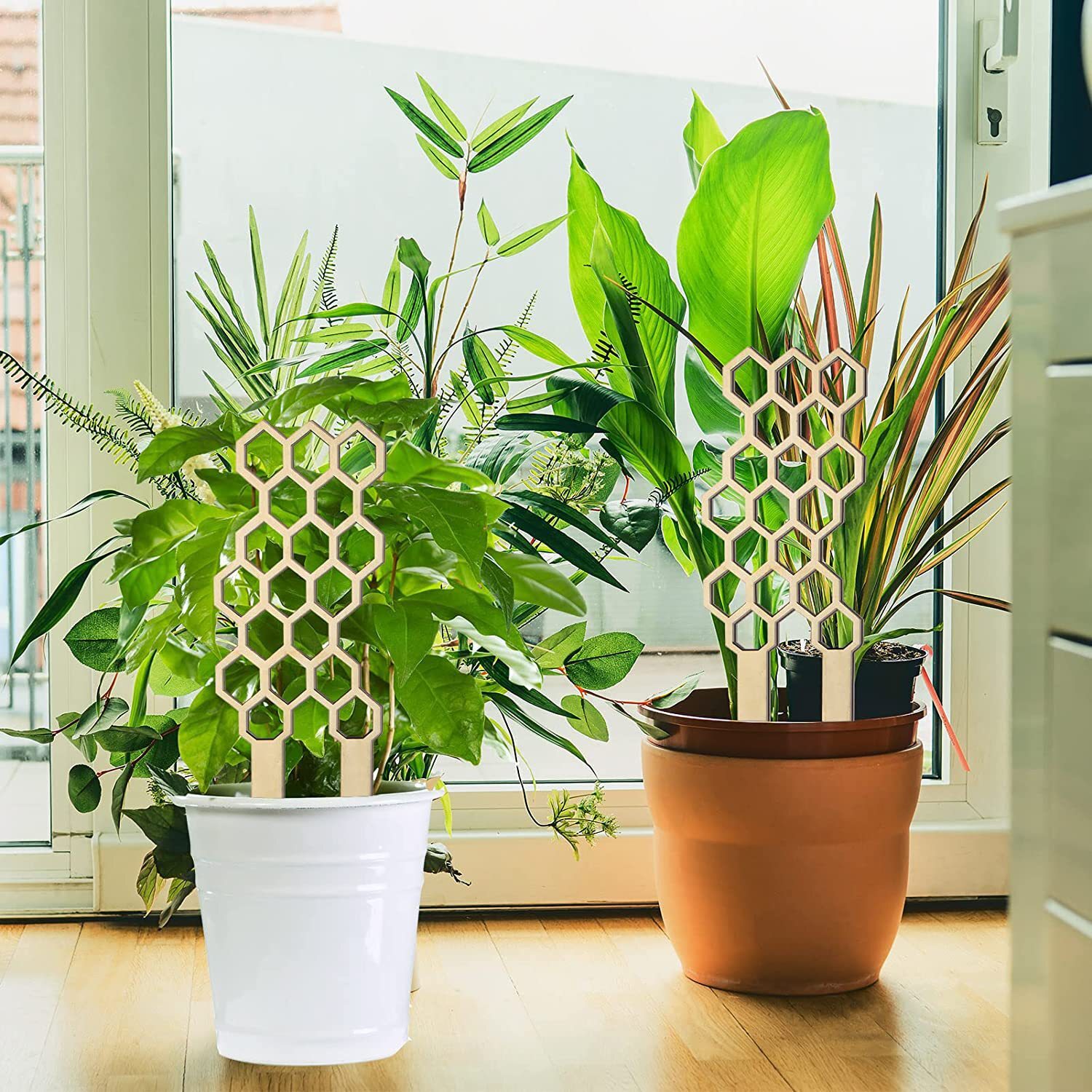 Những người làm đồ gỗ bậc thang leo lên và tạo ra một cây cột làm vườn.