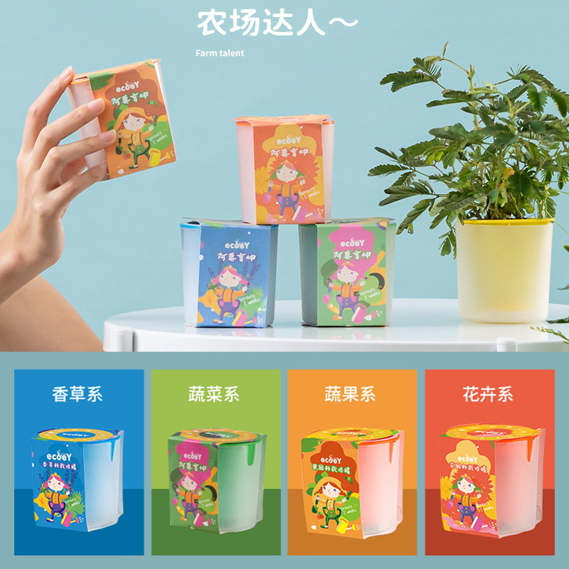 Hộp mù của trẻ em Ecoy