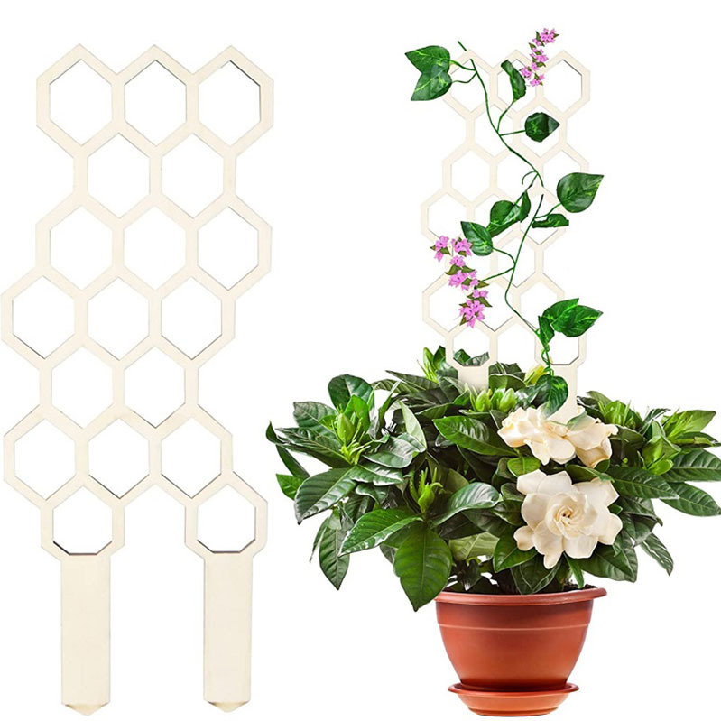 Những người làm đồ gỗ bậc thang leo lên và tạo ra một cây cột làm vườn.