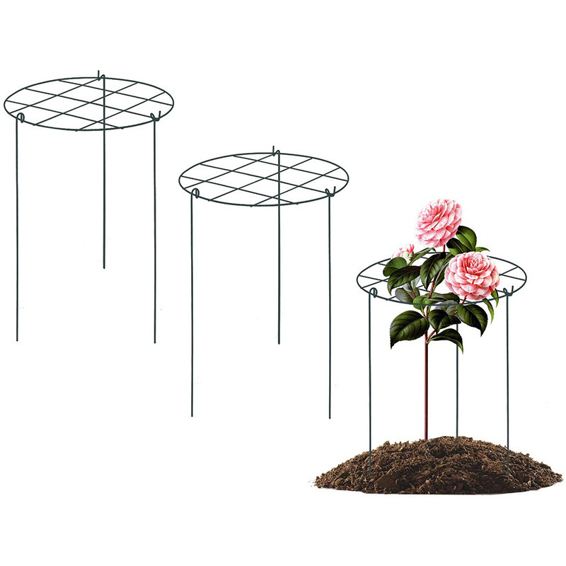 Thực vật trèo lên quả bóng thêu thùa, và các cột chống đỡ nền văn hóa được tạo ra bởi loài bò sát trong nền văn hóa.