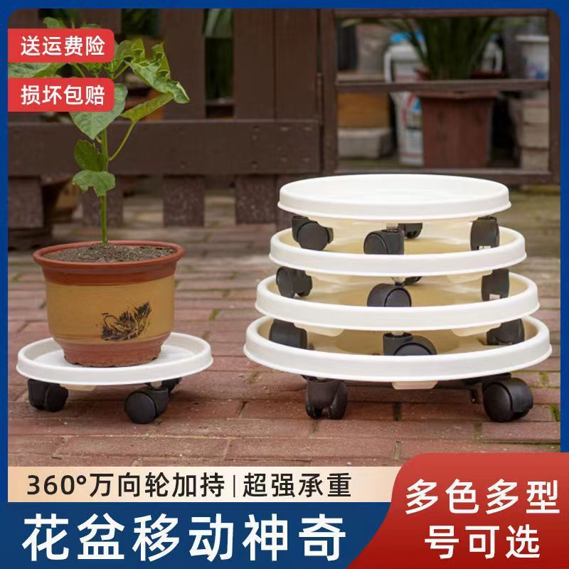 Khay hoa di động được đánh bóng để kết nối dù với một xương chậu nhựa có bánh xe