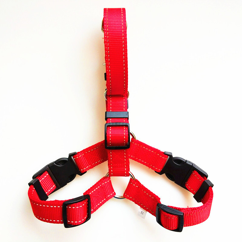 Nhà sản xuất bán vật nuôi nylon với dây thừng chó ở ngoài.