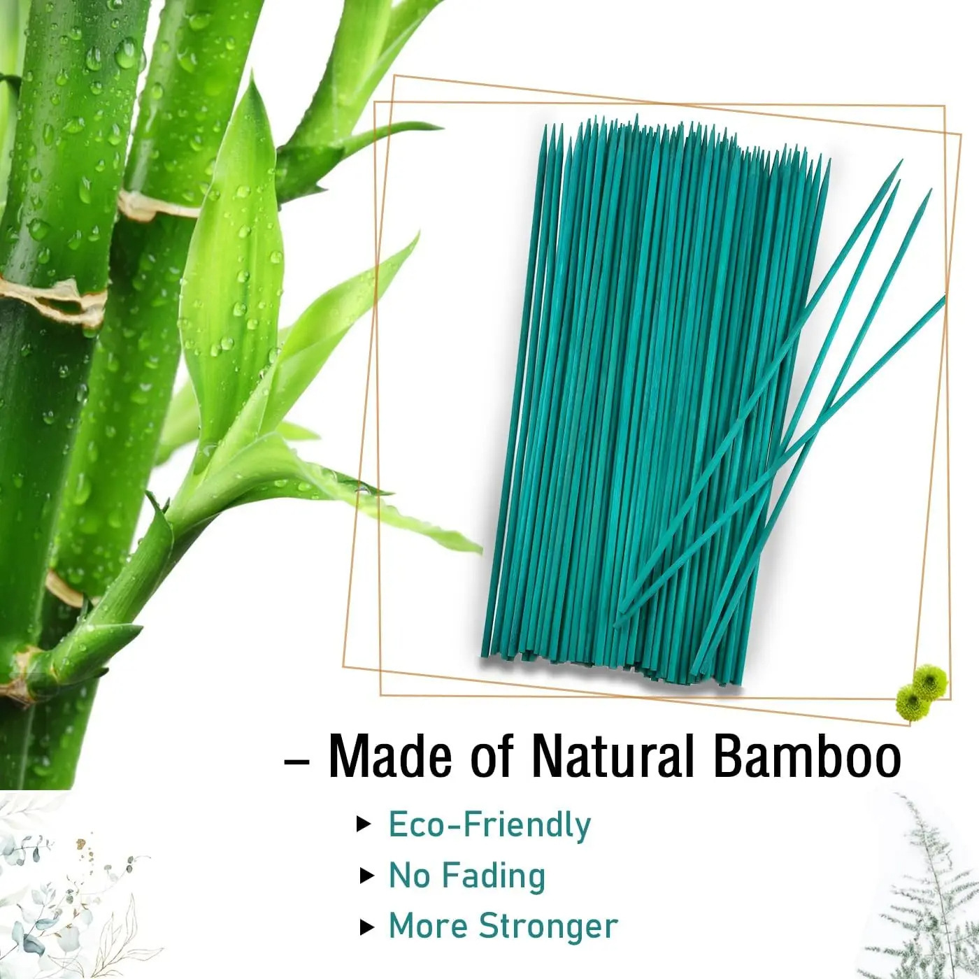Những cọc cây tre xuyên hàng cây, những cây lan hỗ trợ trong nhà, cây tre vườn và thiết bị hỗ trợ cây