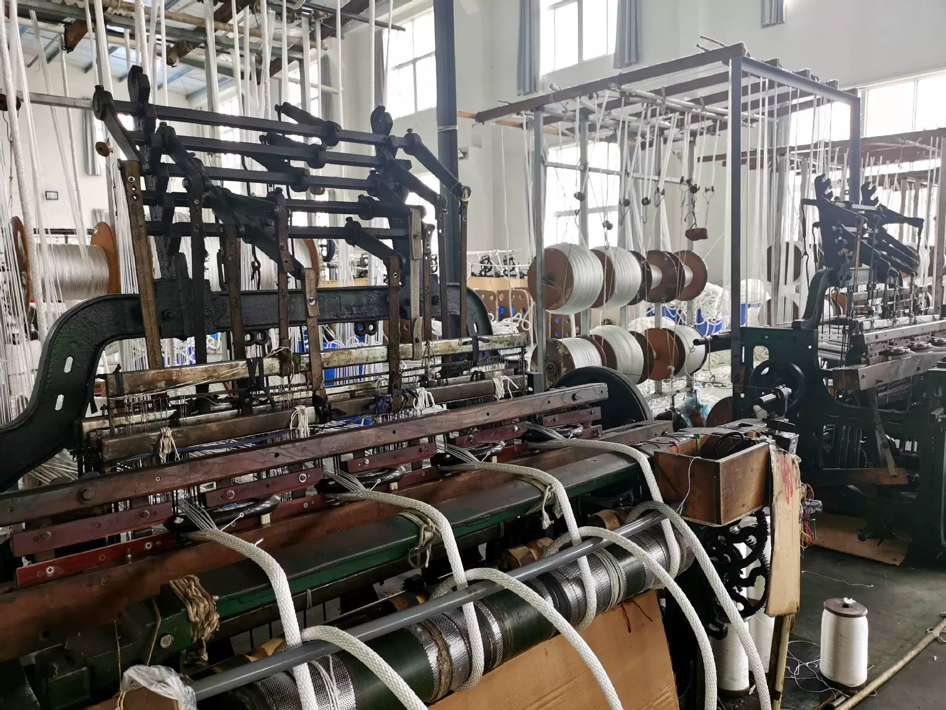 Tỷ lệ của Trương Thành.