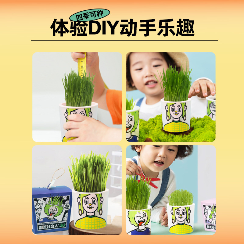 Nhà kho của Ecoey, nhà máy sản xuất đồ chơi, thảo dược cho mèo hàng loạt, đồ chơi đa chức năng.