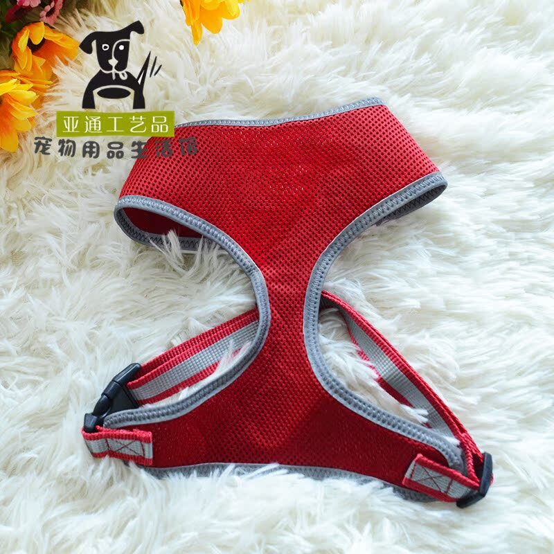 Dây lưng, dây thừng, quần áo của Teddy.