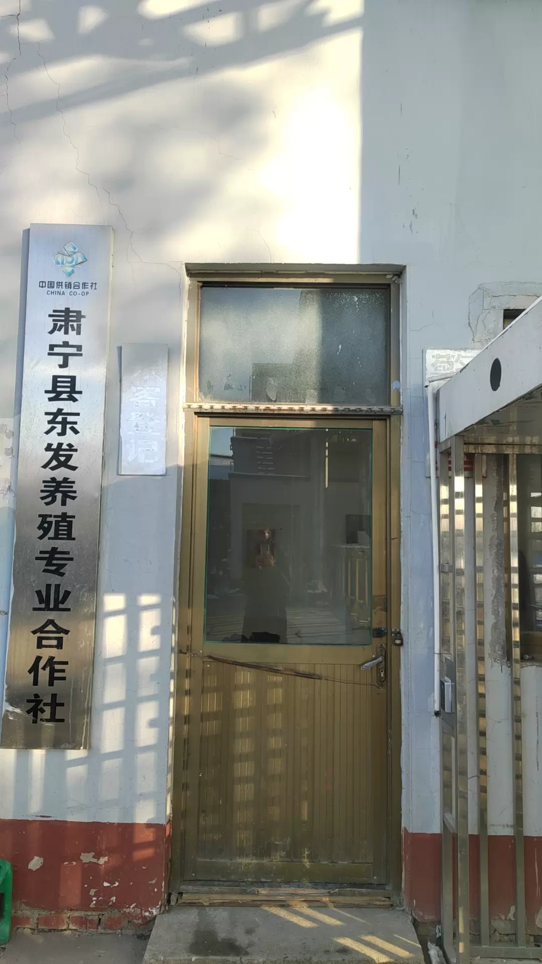 East Suning County의 농업 협력