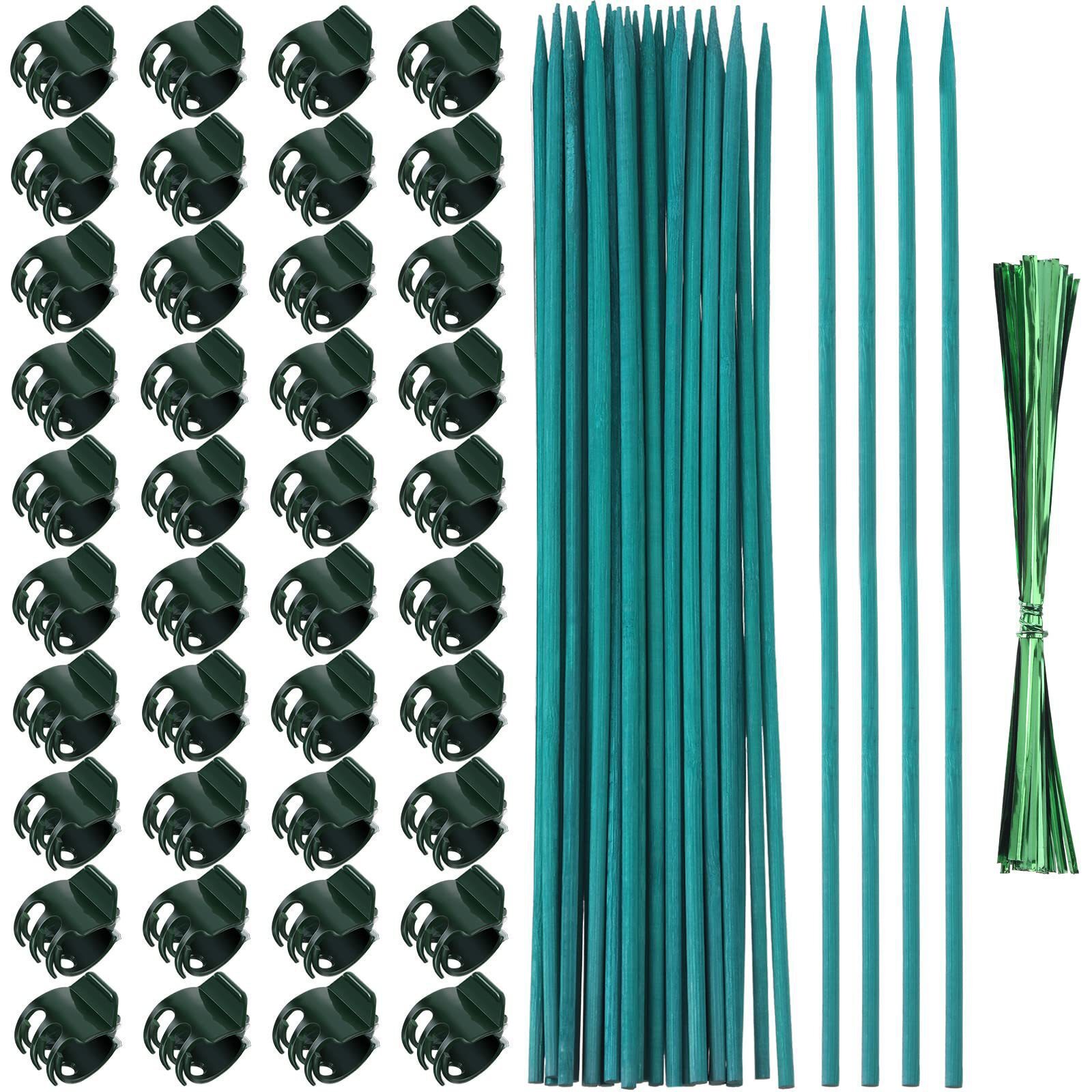 Những cọc cây tre xuyên hàng cây, những cây lan hỗ trợ trong nhà, cây tre vườn và thiết bị hỗ trợ cây