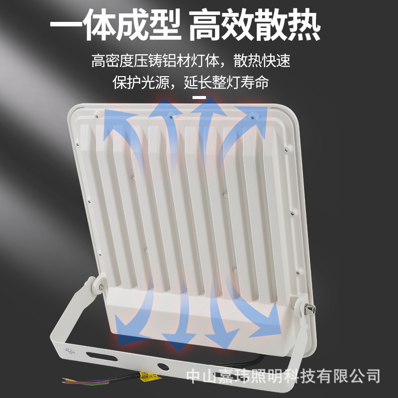 满天星透镜投光灯LED高亮防水户外灯泛光灯100W200W300W照明灯