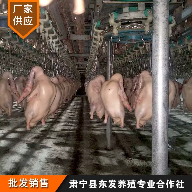 East Suning County의 농업 협력