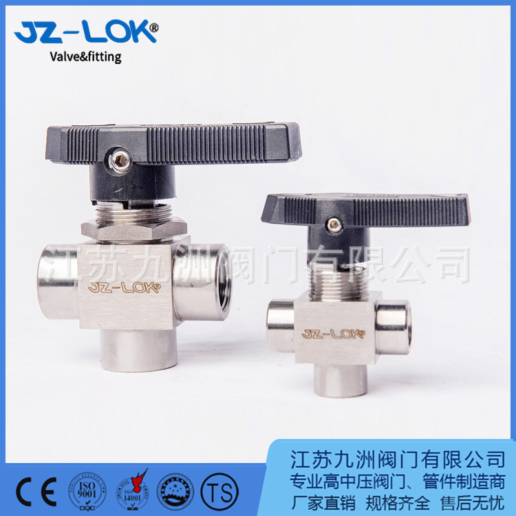 The stainless steel high-pressure valve.