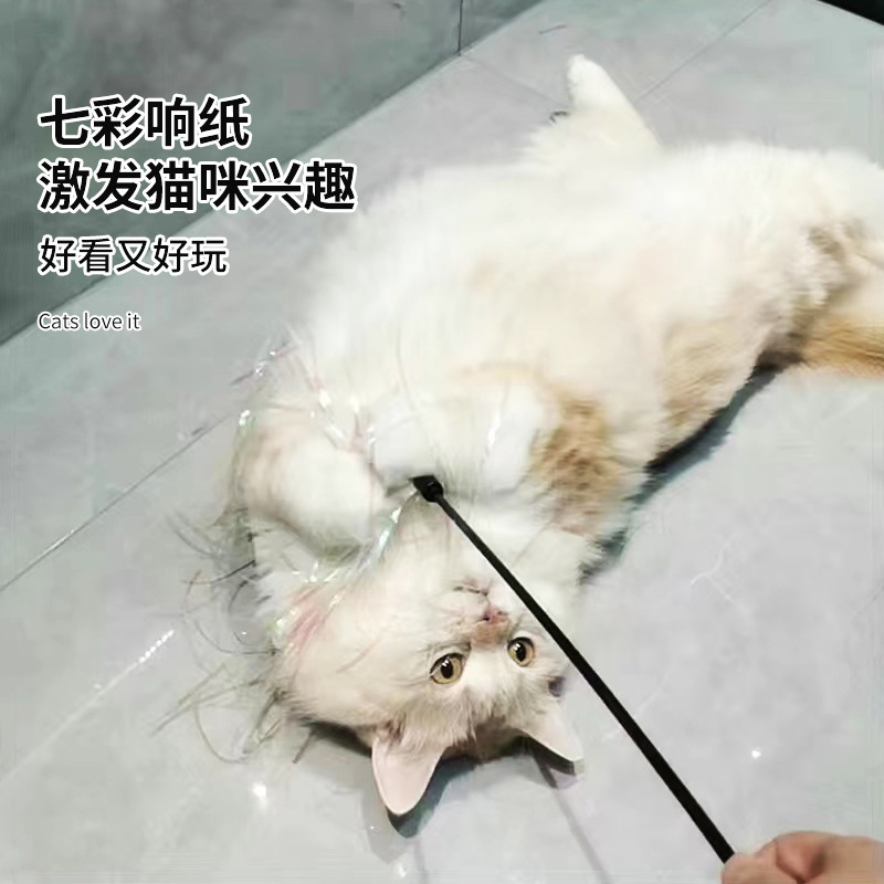 Whole-time cat toy toy to cat poles with turquoises on paper and cat sticks with bells on pet toys and cat stuff.
