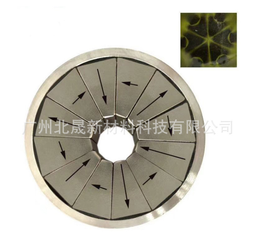 Nam châm Halbach K2 Đốt cháy cò và nam châm xung điện từ