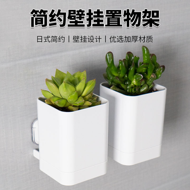 Bức tường nhà khách hàng được bao phủ bởi một quan tài không có vết xước trên tường.