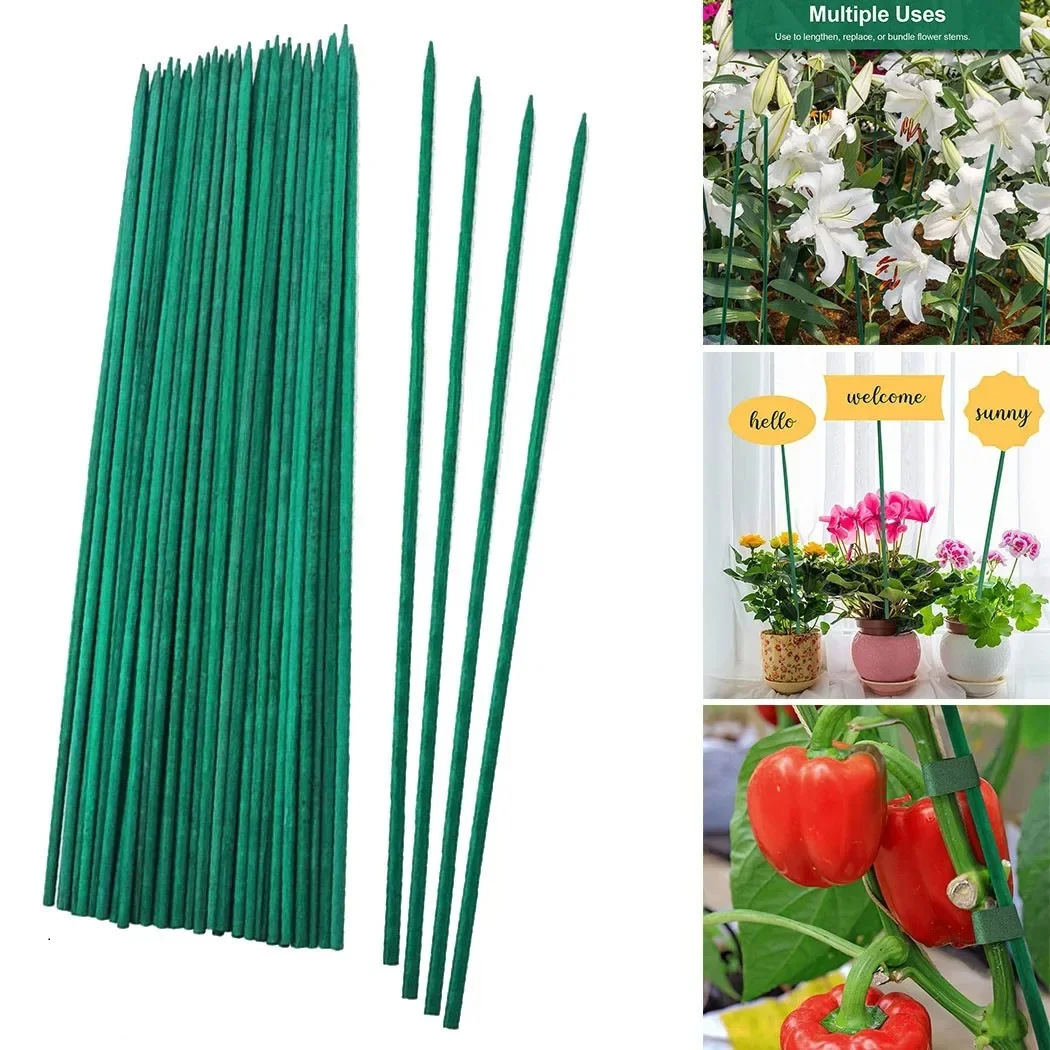 Những cọc cây tre xuyên hàng cây, những cây lan hỗ trợ trong nhà, cây tre vườn và thiết bị hỗ trợ cây