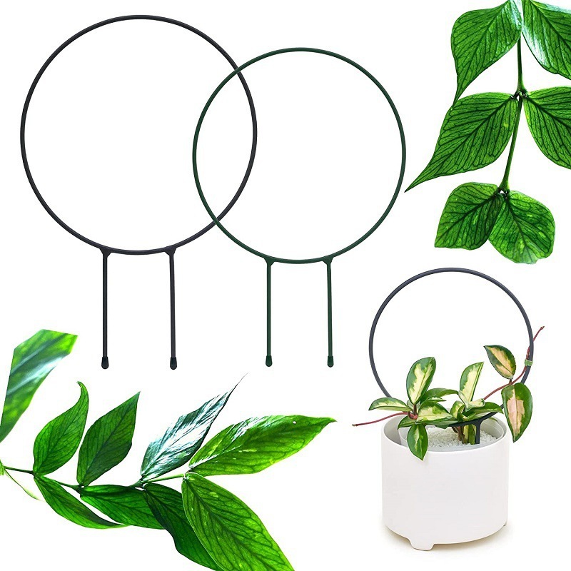 Những viên đá ngoài trời, cây cối leo lên, sáng tạo ủng hộ nền văn hóa nông nghiệp của các bó hoa, băng qua biên giới.