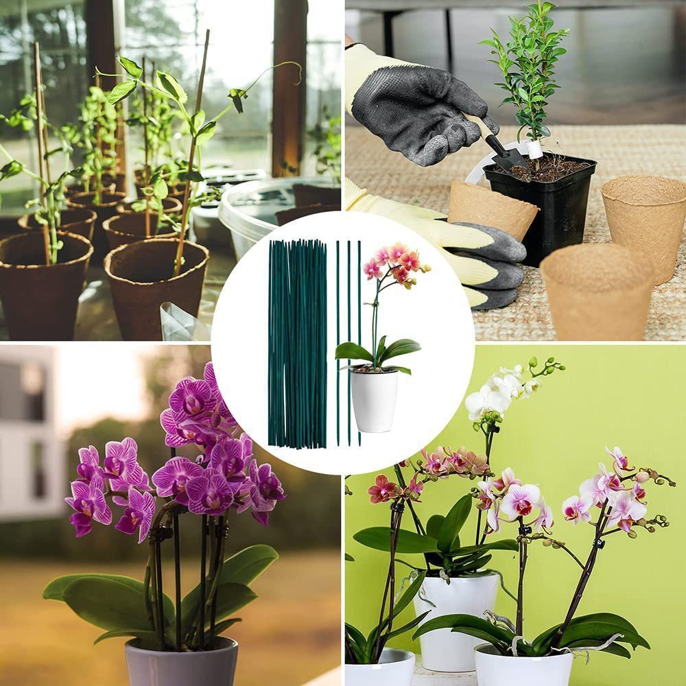 Những cọc cây tre xuyên hàng cây, những cây lan hỗ trợ trong nhà, cây tre vườn và thiết bị hỗ trợ cây