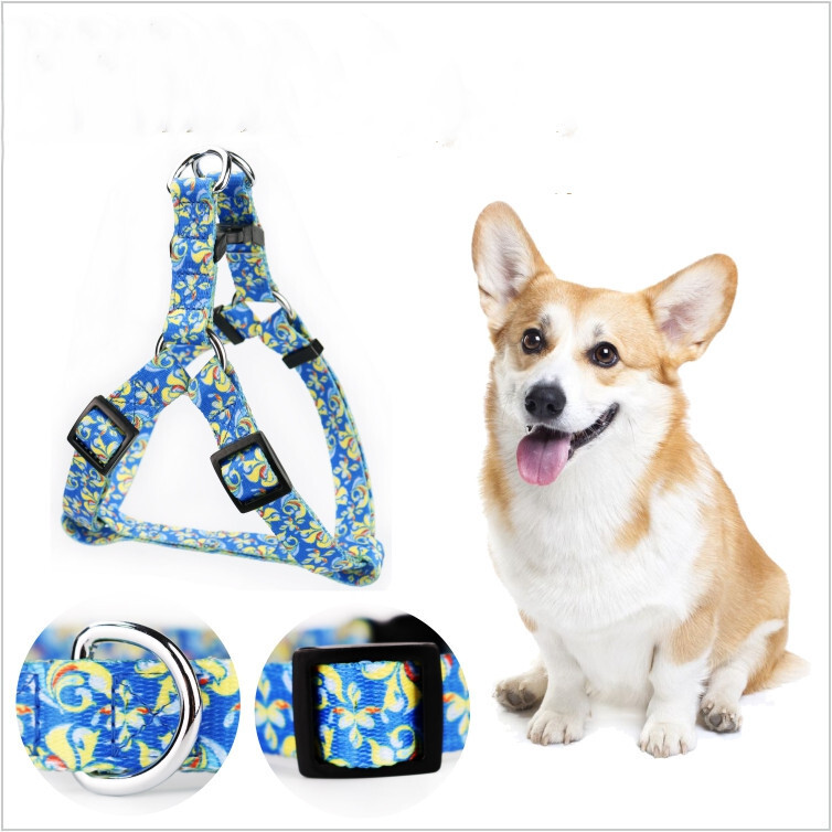 Customize dog pets' plaster belts to decorate their plasters.