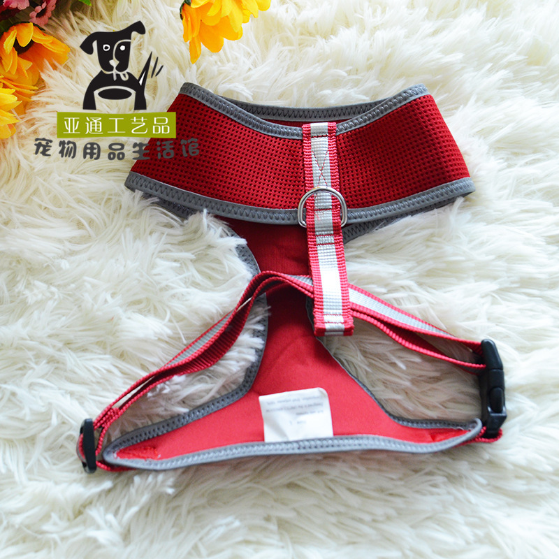 Dây lưng, dây thừng, quần áo của Teddy.
