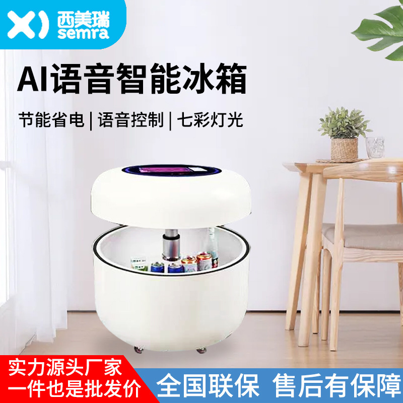 Vài cái tủ lạnh bên ngoài tủ lạnh.