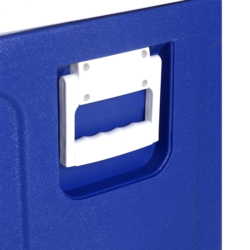 60L mức lương thực cao ngoài trời lưu trữ thực phẩm lạnh-chain lồng ấp viễn thông trực tiếp được bán bởi thực vật