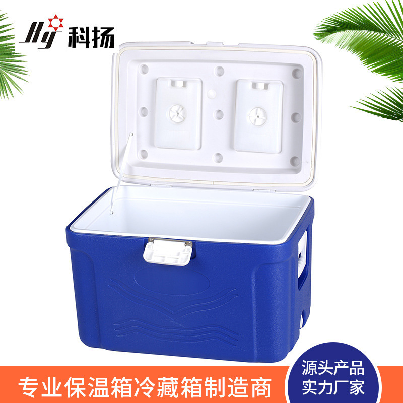 60L mức lương thực cao ngoài trời lưu trữ thực phẩm lạnh-chain lồng ấp viễn thông trực tiếp được bán bởi thực vật