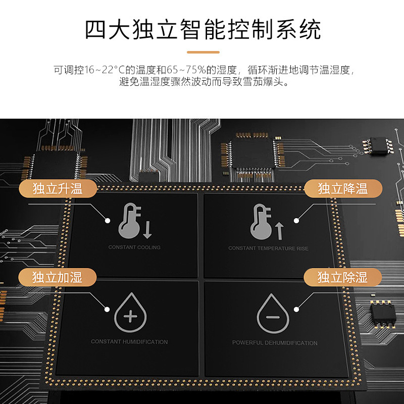 Tủ xì gà máy chủ nóng và ướt, máy nén Homesun, Pháp
