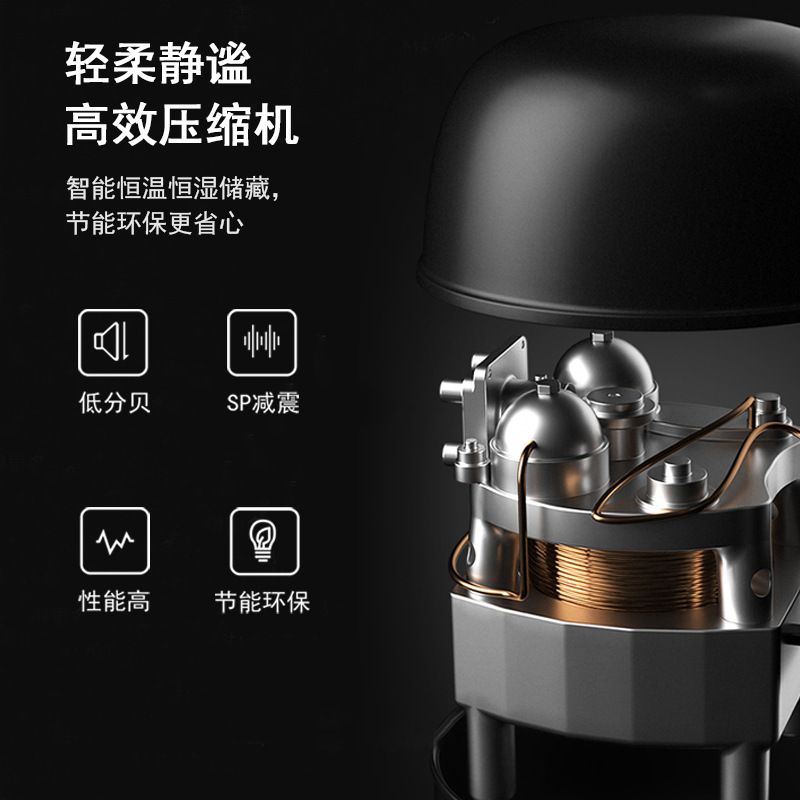 Những tủ lạnh nhỏ có tủ đựng rượu.