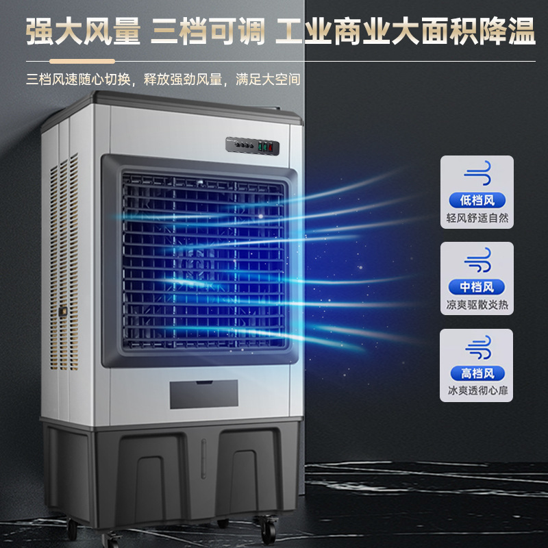 Cố vấn hàng không Winnesdale.