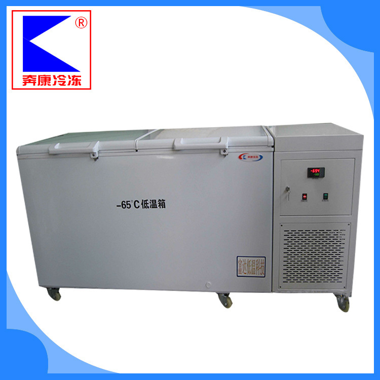 Refrigerator BKDW-518L 10°C to 65°C industrial cryogenic box