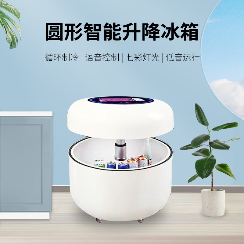 Vài cái tủ lạnh bên ngoài tủ lạnh.