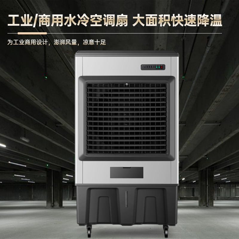Cố vấn hàng không Winnesdale.