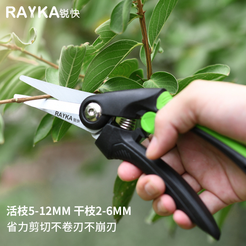 Rửa cây ăn trái để sửa lại vườn hoa và xanh lá cây thợ mộc.