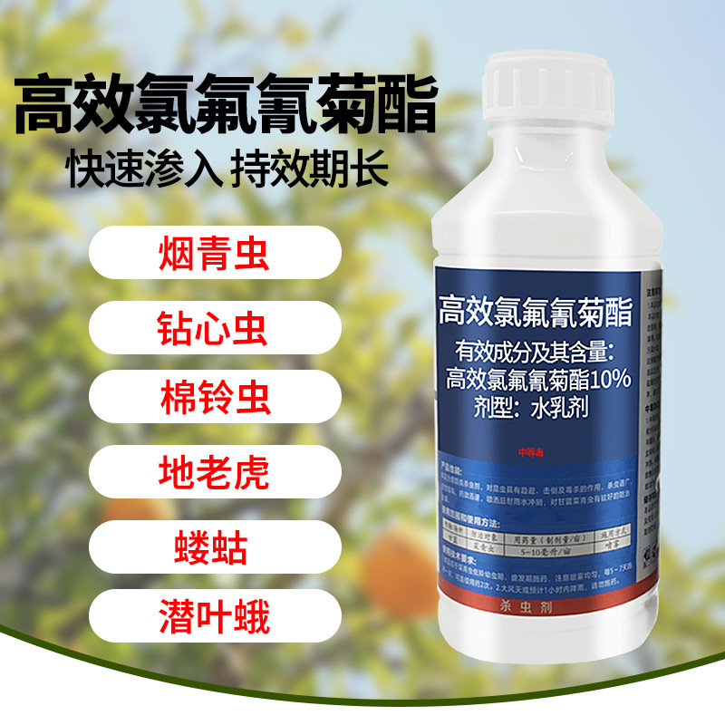 Chryso đánh thức trái cây và những con rệp độc rau chết.
