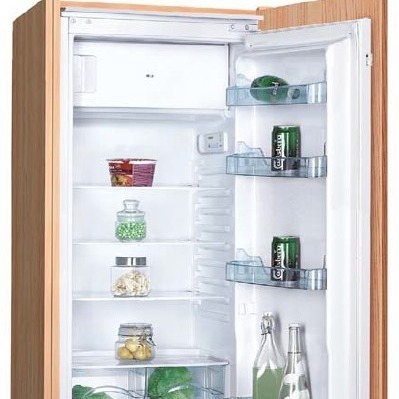 BC-193Q nhúng một cửa, hiệu ứng cao, điện, trực tiếp, tủ lạnh lạnh