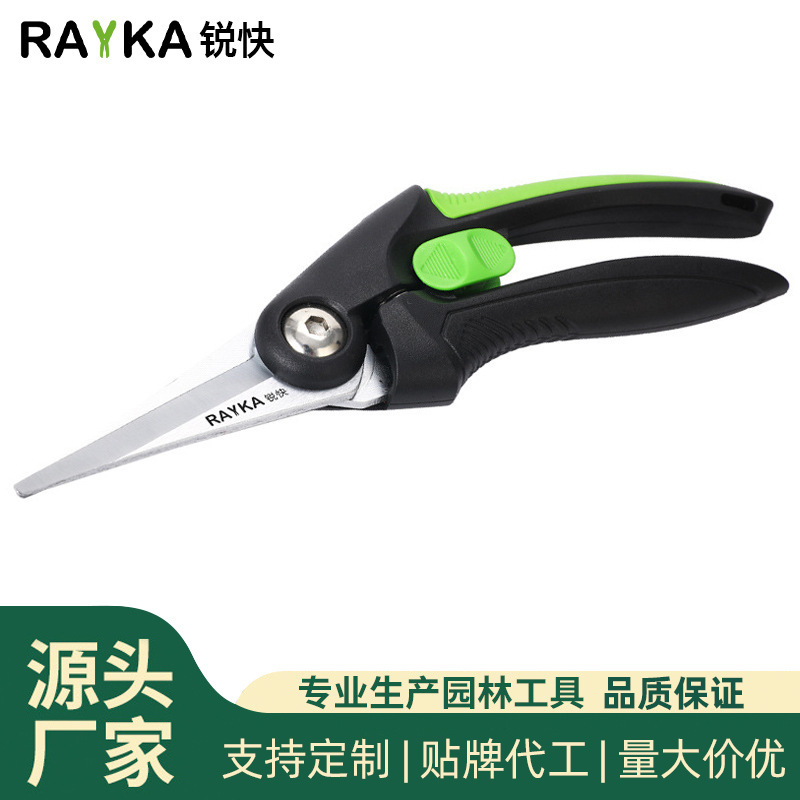 Rửa cây ăn trái để sửa lại vườn hoa và xanh lá cây thợ mộc.