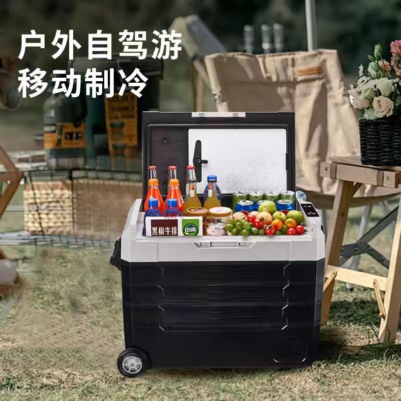 Nguồn cung cấp qua thứ tự 12v24v tủ lạnh 35/45/55 L Low noise 35 xe bạc hà