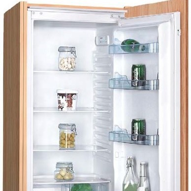 BC-193Q nhúng một cửa, hiệu ứng cao, điện, trực tiếp, tủ lạnh lạnh