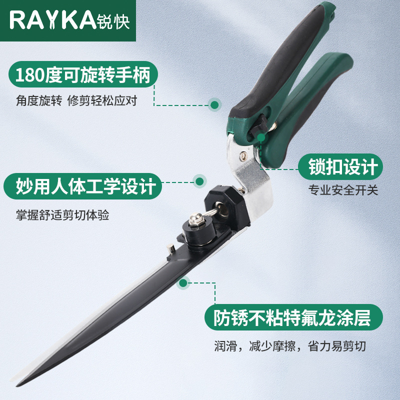 Một con dao cắt cỏ RG02, một cành cây trồng vườn và thảo mộc xanh lá cây, và một người cắt vườn.