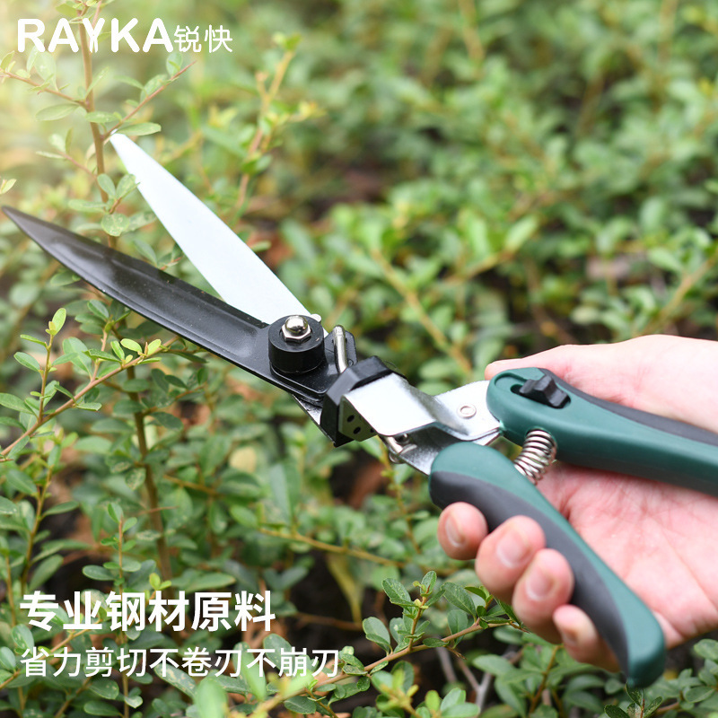 Một con dao cắt cỏ RG02, một cành cây trồng vườn và thảo mộc xanh lá cây, và một người cắt vườn.